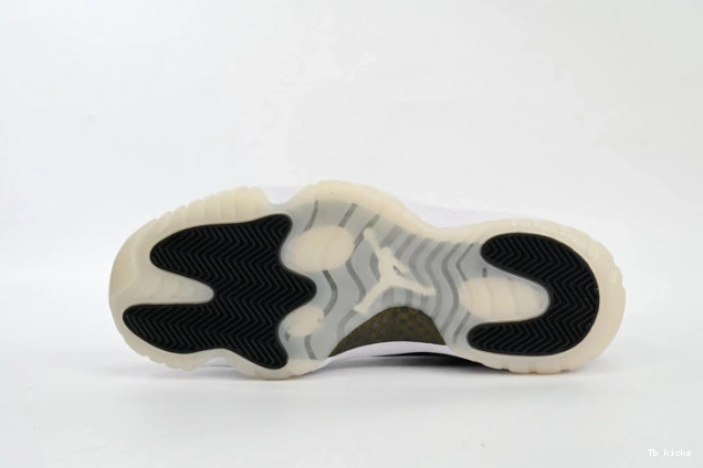 Reps TBK 11 Jordan CT8012-170 Air DMP 0823